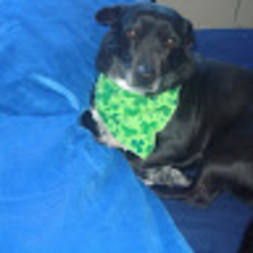 Meet your Posher, Mary